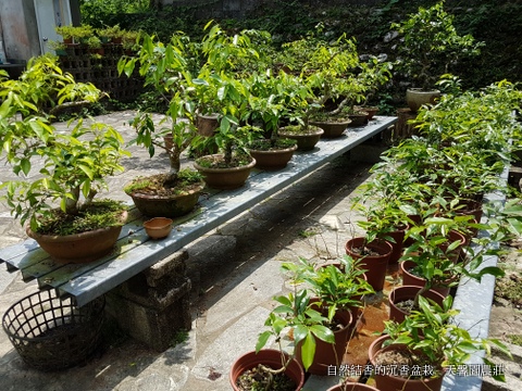 afa24fce14963fb3d38f4014582b57b3.jpg